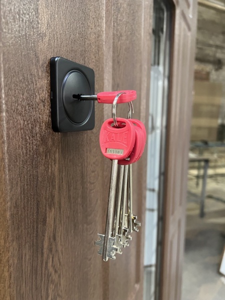 Дверь входная Мавіс дуб бронзовый 2050x960 мм левая