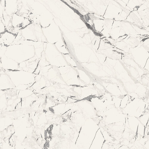 Плитка Палаіс Бланко 58x58 