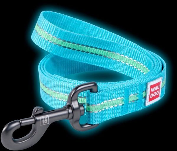 Поводок WAUDOG Nylon светонакопительный 1,5х122 см голубой