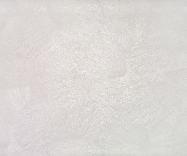 Шпалери вінілові на флізеліновій основі Vinil Пума ЭШТ 2-1467 1,06x10,05 м 