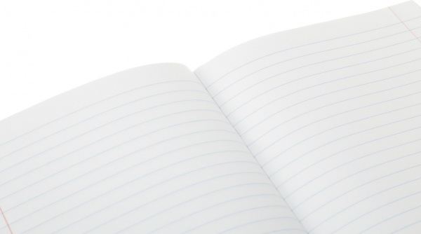 Тетрадь школьная Raccoon 18 листов в линию