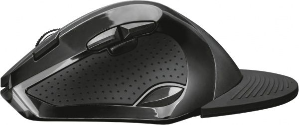 Мышь Trust Vergo Wireless Ergonomic Comfort 21722 