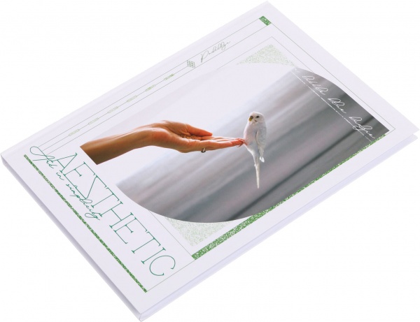 Блокнот А4 в клітинку 120 аркушів в асортименті Поділля