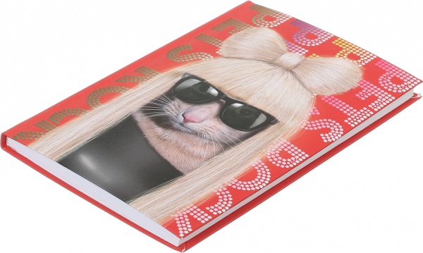 Блокнот Pets Rock 80 аркушів Гага