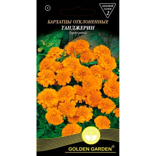 Насіння Golden Garden Чорнобривці Відхилені Танджерін 0.5 г