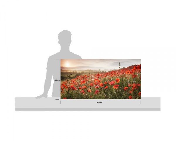 Репродукция Маковое поле 96x48 см i_96x48_00066 