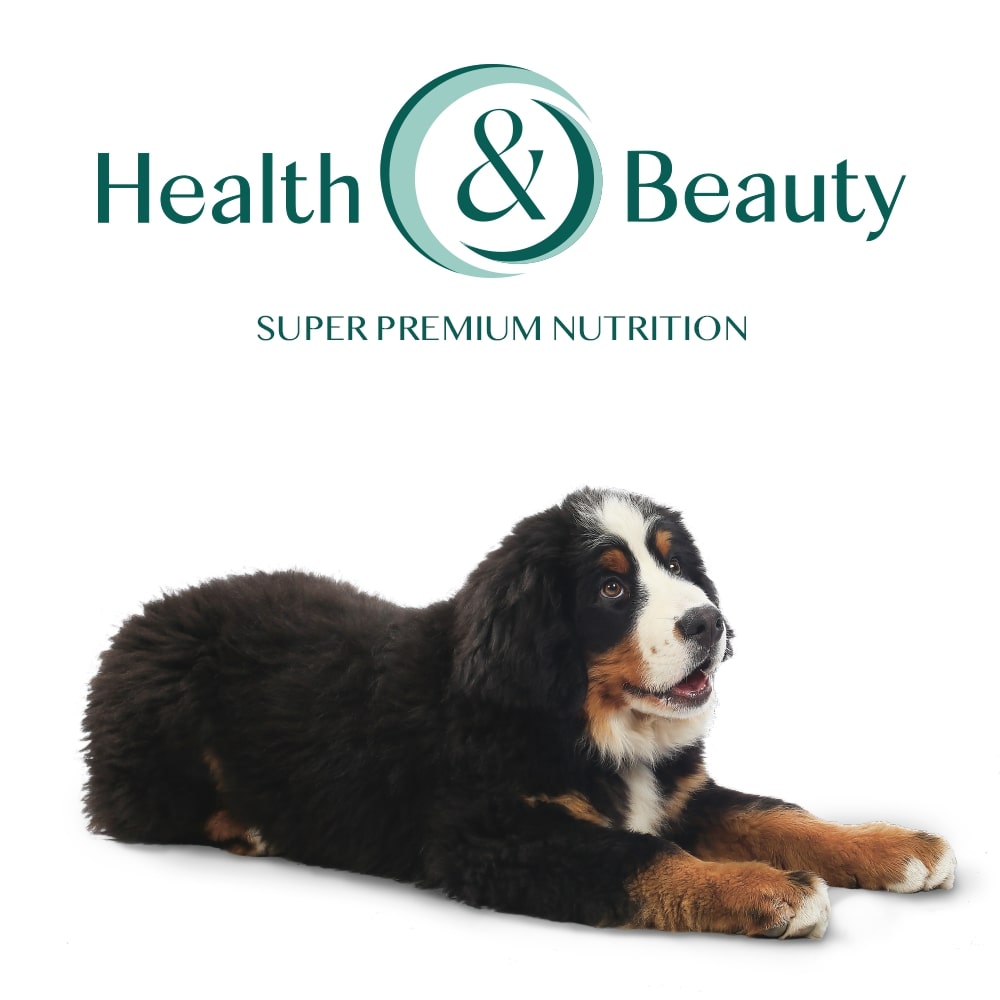 Корм сухой для крупных пород Optimeal индейка 12 кг