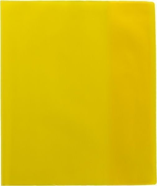 Обкладинка для зошитів і щоденників PVC 35*21см VGR