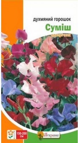 Насіння перець Духмяний горошок 1 г