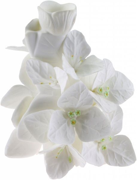 Свічник Бугенвіль 72 BBD514 Enesco