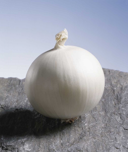 Семена Професійне насіння лук репчатый Гледстоун белая 200 шт. (4823058200712)