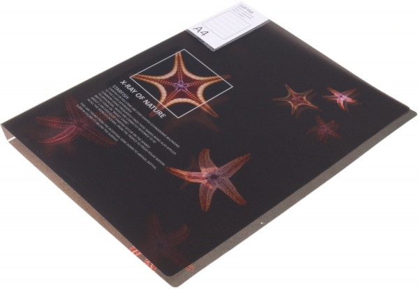 Папка с боковым прижимом Калейдоскоп в ассортименте Optima