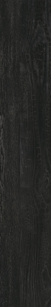 Плитка Allore Group Albero Black F PR R Mat 19,8x120 см