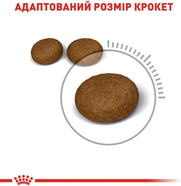 Корм Royal Canin Hair and Skin Care, 2 кг