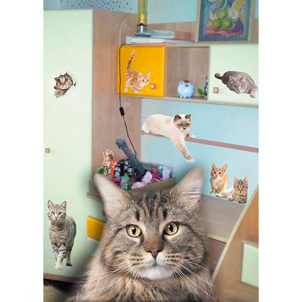 Декоративна наліпка Котик