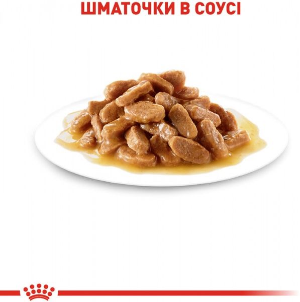 Корм Royal Canin для щенков MINI PUPPY (Мини Паппі соус), пауч, 85 г