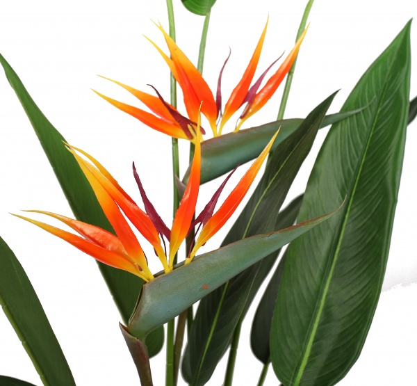 Дерево искусственное Strelitzia (DW-09) Engard
