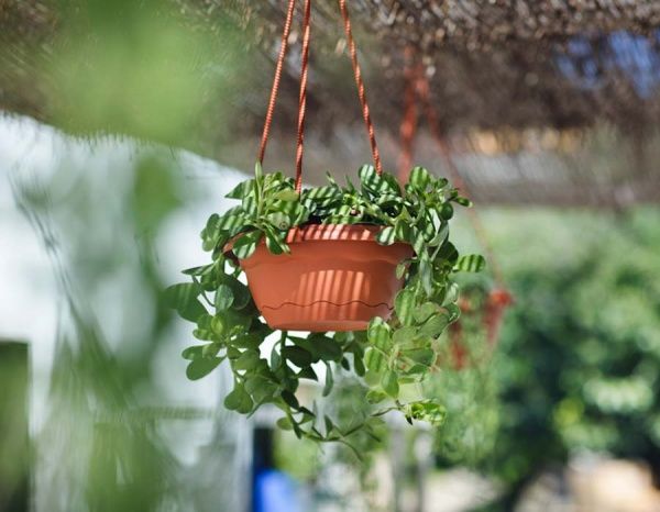 Підвіс пластиковий Plastiken для квіткового вазону Terra (з піддоном) круглий теракот 