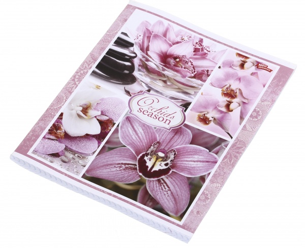 Тетрадь школьная 96 листов в клеточку в ассортименте Мечты сбываются