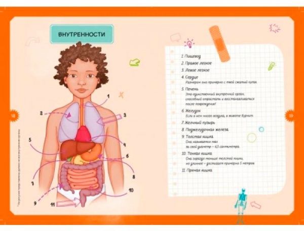 Книга «Детская энциклопедия. Тело человека» 978-5-389-14752-2