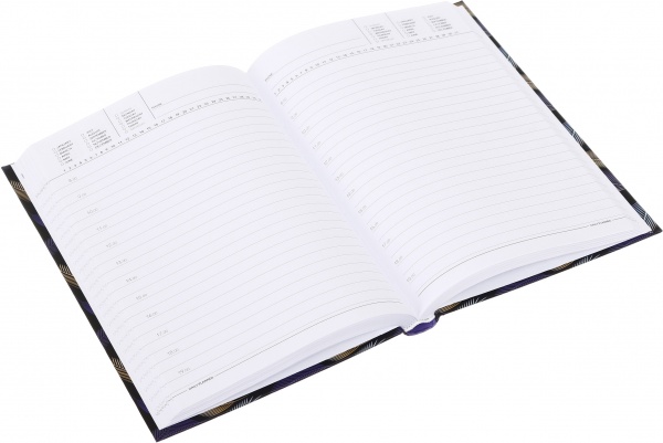 Дневник недатированный 7БЦ 143х210 мм 160 листов 22257 Фреш A5