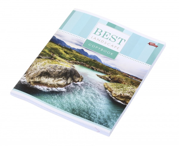 Тетрадь школьная 96 листов в клеточку в ассортименте Мечты сбываются