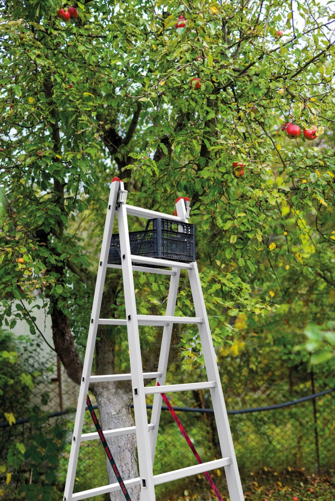 Драбина 2-секційна універсальна BauGut 2х7