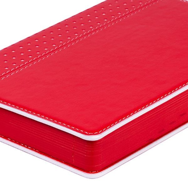 Щоденник А5 Destiny 2021 червоний Leo Planner