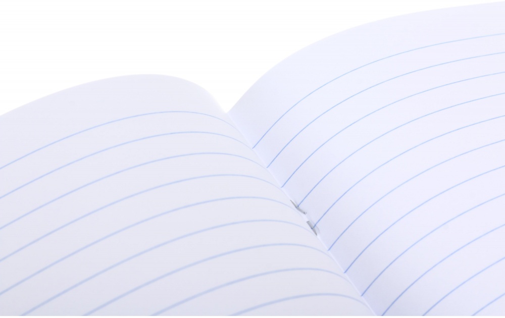 Тетрадь 48 листов в линию (2252547043011) Nota Bene