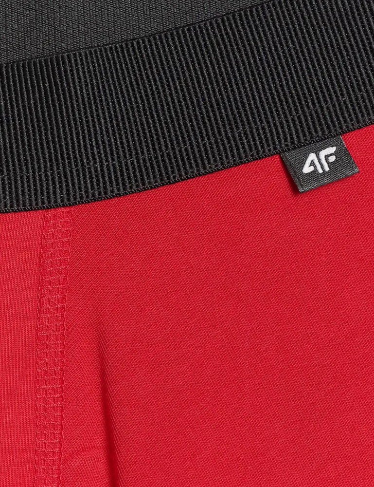 Труси 4F 4FWMM00UBXSM059-92S р.XL різнокольоровий