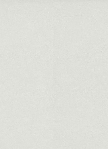 Шпалери вінілові гарячого тиснення Erismann Hypnotic 5226-10 1,06x10,05 м 