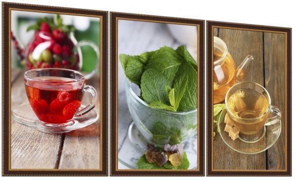 Картина модульная 40x65 см SvitArt PN-209 