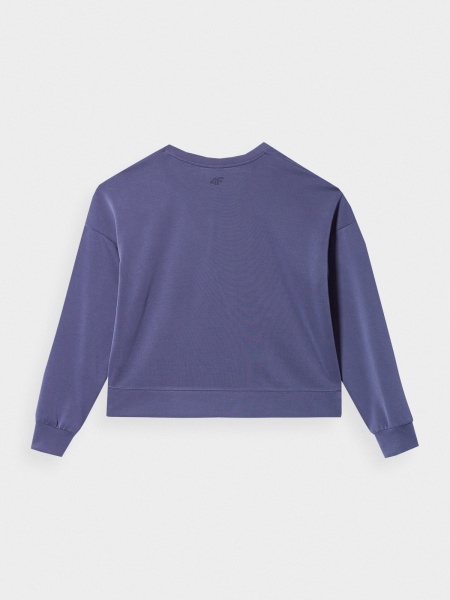 Світшот 4F SWEATSHIRT F0814 4FSS23TSWSF0814-30S р. XS фіолетовий