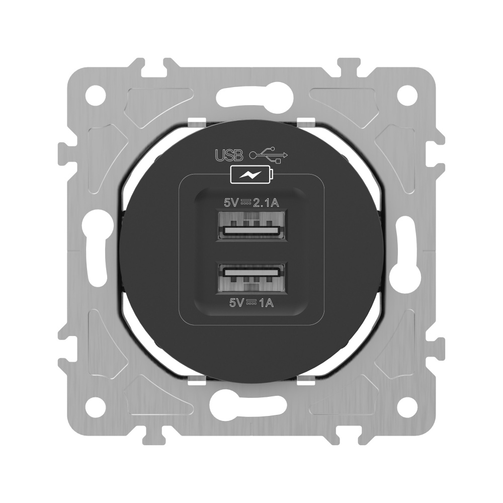 Механізм розетки USB 2 HausMark Bela IP20 чорний