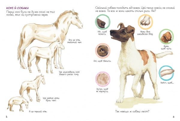 Книга «Навіщо тваринам хвіст? Дивовижний світ тварин» 978-966-98505-7-7