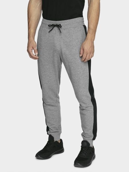 Штани 4F D4Z20-SPMD306-24M р. 2XL сірий