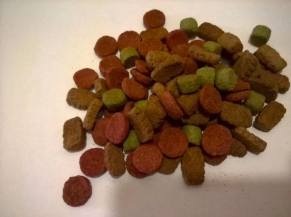 Корм сухий повноцінний для собак Favorit 12004 з яловичиною 10 кг