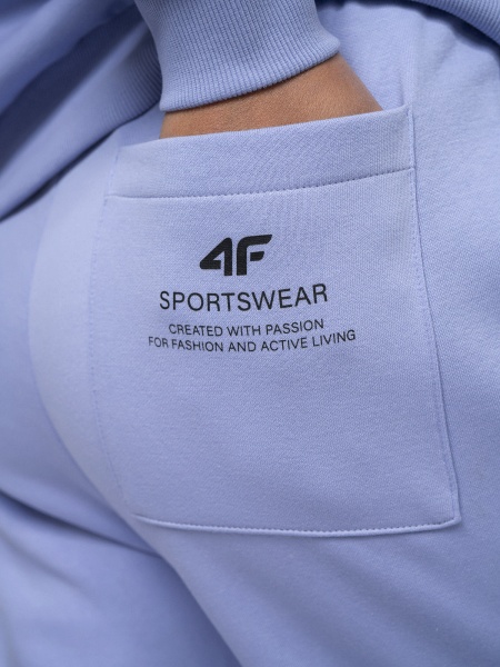 Брюки 4F 4FSS23TTROF148-52S р. XL фиолетовый