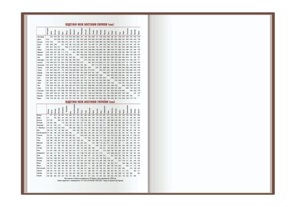 Дневник датированный VIVELLA O25230-11 Optima A5 2025 голубой