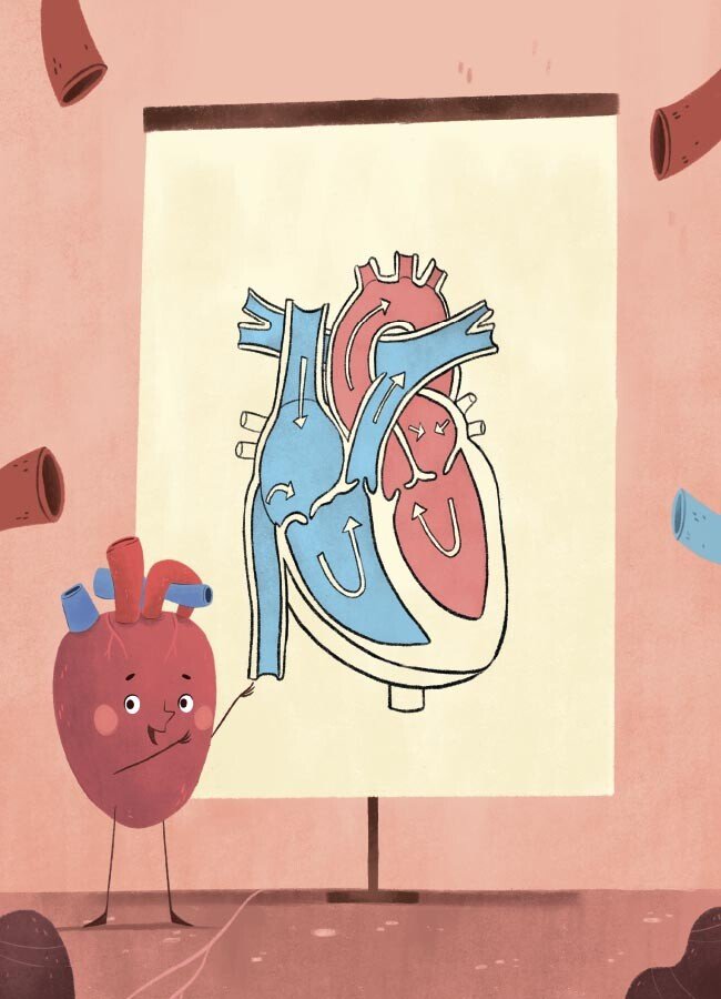 Книга Ружа Гайкусь «Хочу знати. Будова твого організму. Що є що і як воно працює. 7+» 978-617-00-4380-1