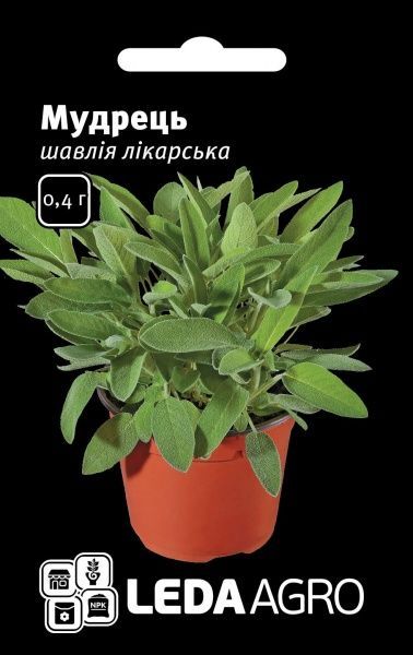 Насіння LedaAgro шавлія лікарська Мудрець 0,4 г (4820119792766)