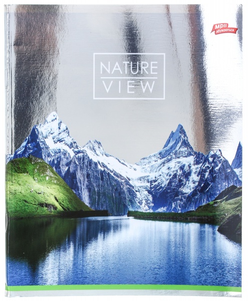 Зошит шкільний срібло 96 аркушів у клітинку в асортименті Мрії збуваються