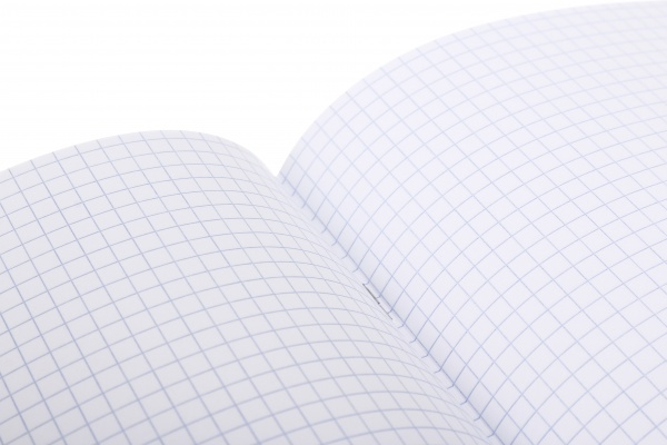 Тетрадь школьная Мавка 48 листов клетка Nota Bene