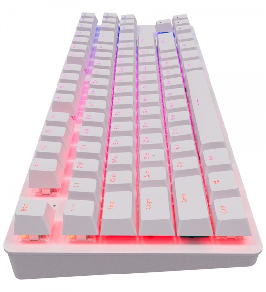 Клавіатура ігрова Dark Project KD87A Mech. g3ms Sapphire ENG/UA (DPO-KD-87A-100300-GMT) white 