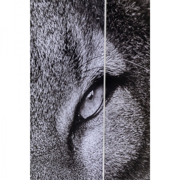 Ширма интерьерная KARE Design King Lion vs Cat Girl 120x180 см 