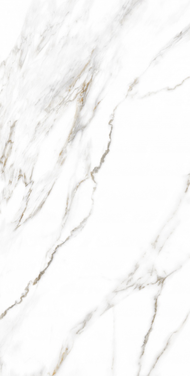 Плитка Allore Group Paladio White F P R Somat 60x120 см — фото 1