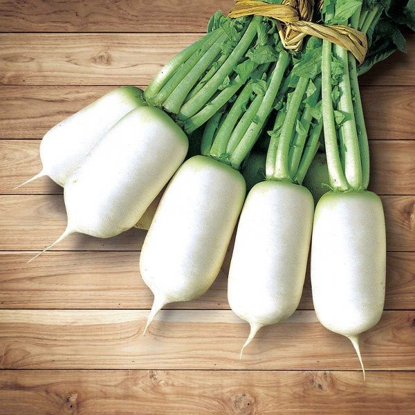 Семена Професійне насіння редька Спиринг Фейвор F1 20 шт. (4820176690456)