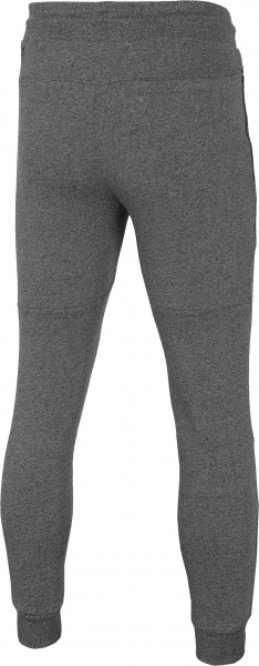 Штани 4F H4L21-SPMD012-23P р. M темно-сірий