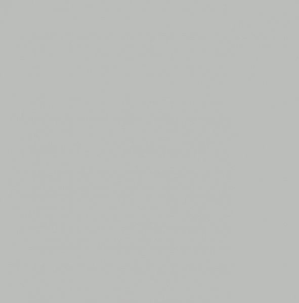 Краска аэрозольная серебряная 50 мл Pentart