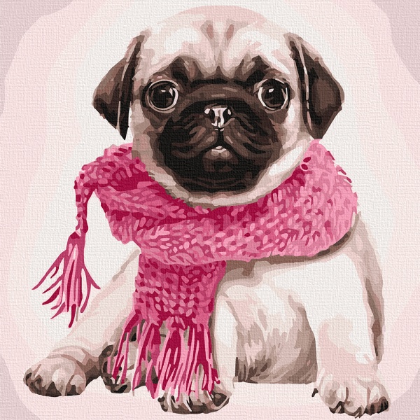 Картина по номерам Стильный мопс 11600-AC 40х50 см ArtCraft 